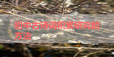 初中古诗词积累研究的方法 