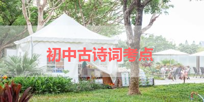初中古诗词考点 