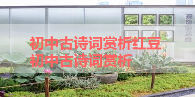 初中古诗词赏析红豆 初中古诗词赏析