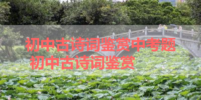初中古诗词鉴赏中考题 初中古诗词鉴赏