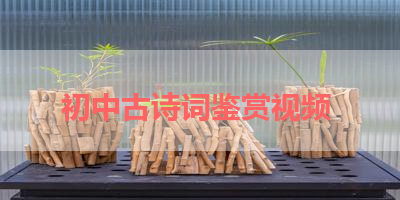 初中古诗词鉴赏视频 