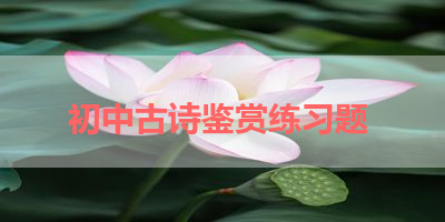 初中古诗鉴赏练习题 