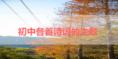 初中各首诗词的主题 
