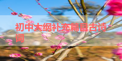 初中大纲补充篇目古诗词 