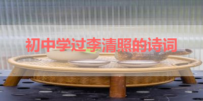 初中学过李清照的诗词 