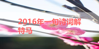 2016年一句诗词解特马 