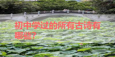 初中学过的所有古诗有哪些？ 