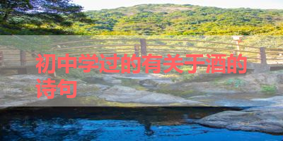 初中学过的有关于酒的诗句 