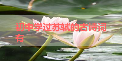 初中学过苏轼的古诗词有 