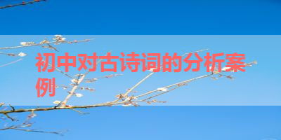 初中对古诗词的分析案例 