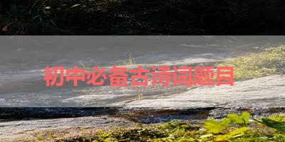 初中必备古诗词题目 