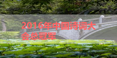 2016年中国诗词大会总冠军 