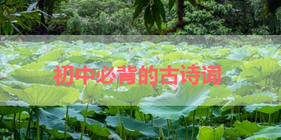 初中必背的古诗词 
