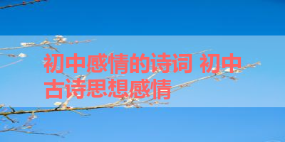 初中感情的诗词 初中古诗思想感情 
