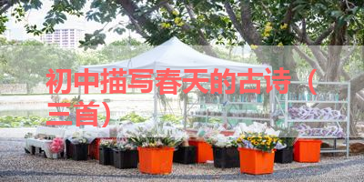 初中描写春天的古诗（三首） 