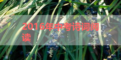 2016年中考诗词阅读 