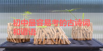初中最容易考的古诗词和谚语 
