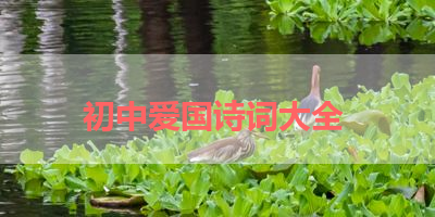 初中爱国诗词大全 