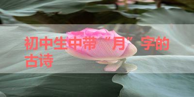 初中生中带“月”字的古诗 
