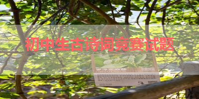 初中生古诗词竞赛试题 