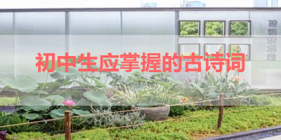 初中生应掌握的古诗词 