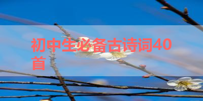 初中生必备古诗词40首 
