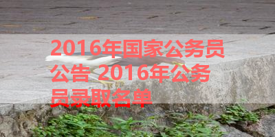 2016年国家公务员公告 2016年公务员录取名单