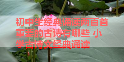 初中生经典诵读两百首重要的古诗有哪些 小学古诗文经典诵读