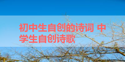 初中生自创的诗词 中学生自创诗歌 