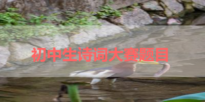 初中生诗词大赛题目 