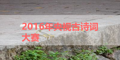 2016年央视古诗词大赛 