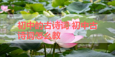 初中的古诗词 初中古诗词怎么教