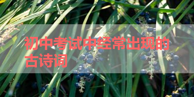 初中考试中经常出现的古诗词 