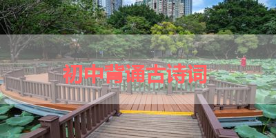 初中背诵古诗词 