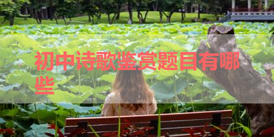初中诗歌鉴赏题目有哪些 