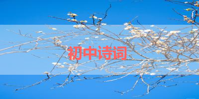 初中诗词 