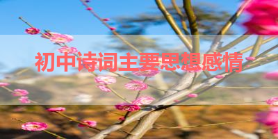 初中诗词主要思想感情 