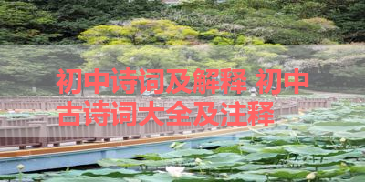 初中诗词及解释 初中古诗词大全及注释