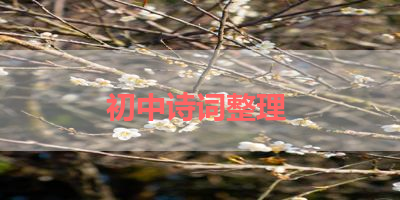 初中诗词整理 