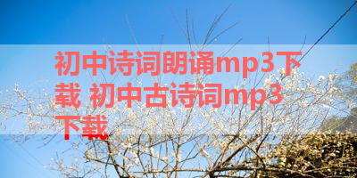 初中诗词朗诵mp3下载 初中古诗词mp3下载