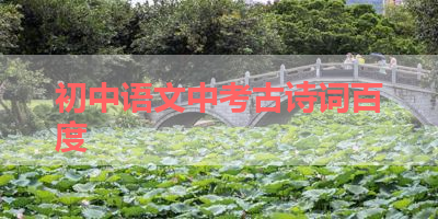 初中语文中考古诗词百度 
