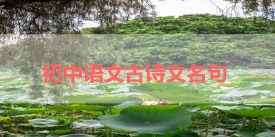 初中语文古诗文名句 