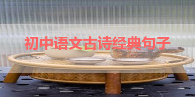 初中语文古诗经典句子 