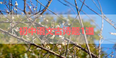 初中语文古诗题1道 