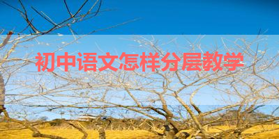 初中语文怎样分层教学 