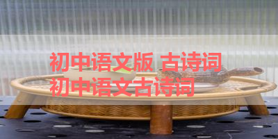 初中语文版 古诗词 初中语文古诗词