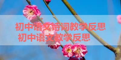 初中语文诗词教学反思 初中语文教学反思