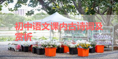 初中语文课内古诗词及赏析 