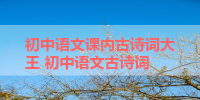 初中语文课内古诗词大王 初中语文古诗词