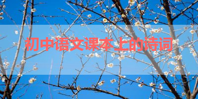 初中语文课本上的诗词 